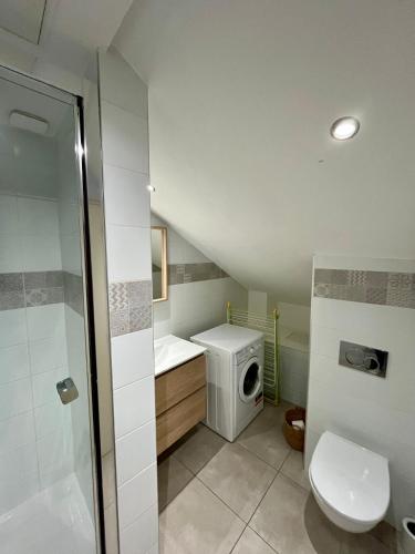 a bathroom with a toilet and a washing machine at Appartement Chloé du lac in Montferrat