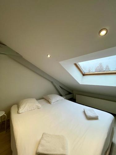 a bedroom with a large bed with a skylight at Appartement Chloé du lac in Montferrat
