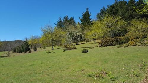 a field with green grass and trees in the background at Quinta O Refúgio in São Vicente