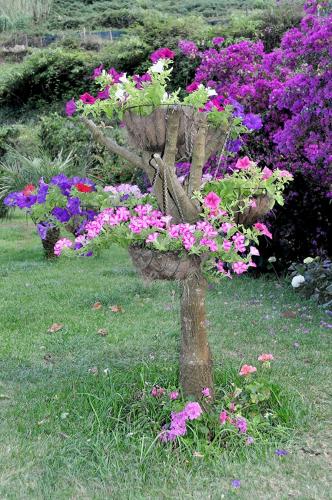 a planter filled with flowers in the grass at Quinta O Refúgio in São Vicente