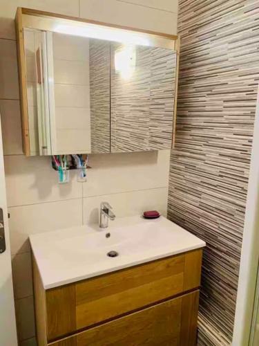 une salle de bain avec un lavabo et un miroir dans l'établissement Appartement familial aux pieds des pistes, à Saint-Étienne-en-Dévoluy