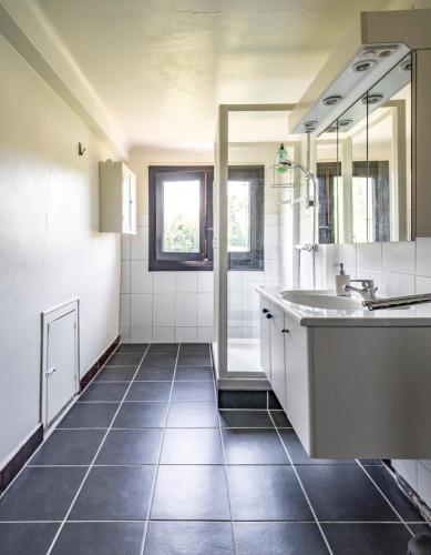 une salle de bain avec un lavabo et un miroir dans l'établissement Maison de Maître au bord du lac, à Excenevex