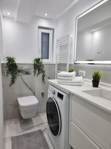 ein weißes Badezimmer mit einer Waschmaschine und einem Waschbecken in der Unterkunft Studio Furnica Sinaia in Sinaia