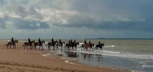 a group of people riding horses on the beach at Mobil Home Moderne de 40m2 TOUT CONFORT Camping SIBLU Les CHARMETTES 785 La Palmyre Les Mathes in Les Mathes