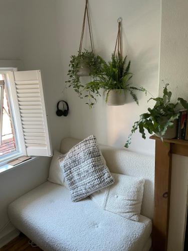 a living room with a couch and two potted plants at The Cycling Cottage, Surrey Hills AONB, Dorking in Dorking