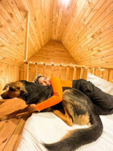 a woman laying on a bed with a dog at The Picturesque Treehouse in Tāndi