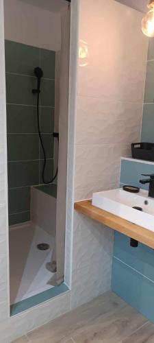 a bathroom with a sink and a shower at App'ART GALERIE Vue mer in Sausset-les-Pins