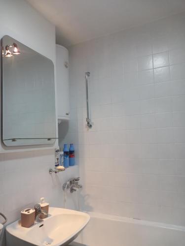 Kylpyhuone majoituspaikassa Apartman Nikčević