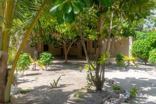 Φωτογραφία από το άλμπουμ του Liquid Life Boutique Hotel Zanzibar σε Paje