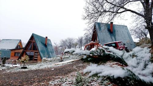 a house with a truck parked in front of it at Rubicon Cabins in Secăria