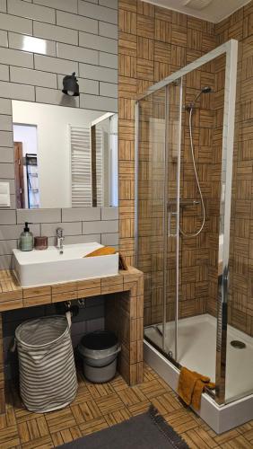 a bathroom with a sink and a shower at Miodówka in Stronie Śląskie