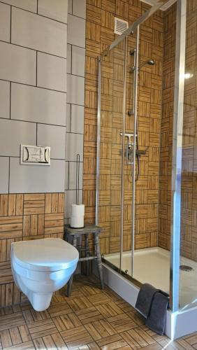 a bathroom with a toilet and a bath tub at Miodówka in Stronie Śląskie