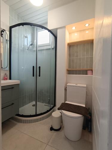 une salle de bain avec une douche en verre et des toilettes dans l'établissement Appartement climatise Vue Mer 208, à Canet