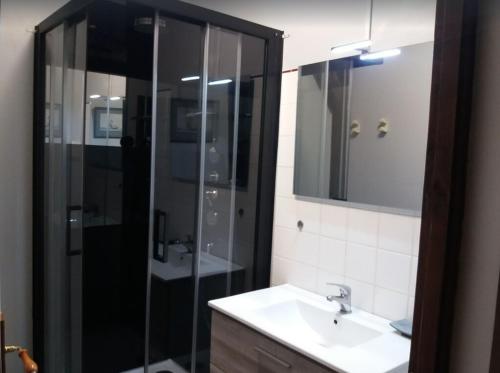 une salle de bain avec une douche en verre et un lavabo dans l'établissement Ensemble 7 gîtes avec Piscines 50 couchages, Les Naudines Cottages, à Gageac-et-Rouillac