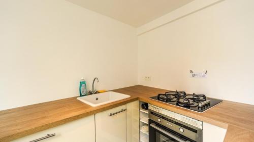 une cuisine avec une cuisinière et un évier dans l'établissement 09 Grand Sunny flat notre dame, à Paris