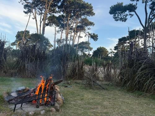 Φυσικό τοπίο κοντά σε αυτό το διαμέρισμα
