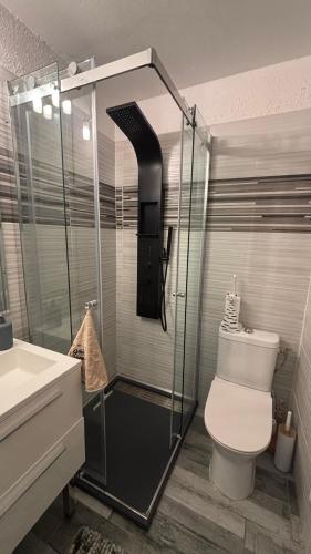 une salle de bain avec toilettes et douche en verre dans l'établissement Belle vue mer, plage 90 m, parking, loggia, wifi., au Cap d'Agde
