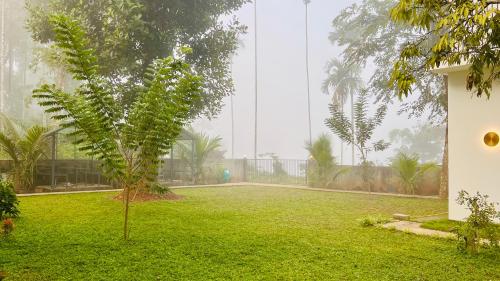 a green yard with a tree and a building at Hill View Heights Wayanad in Meppādi