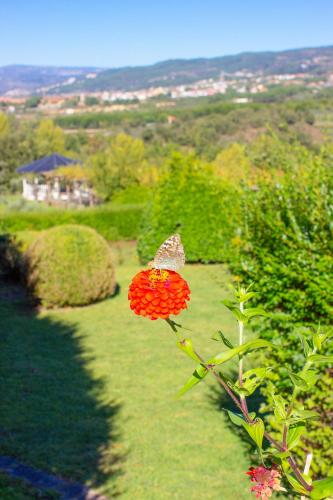 a butterfly sitting on a flower with a butterfly on it at Hotel Rural Casa de Samaioes in Chaves
