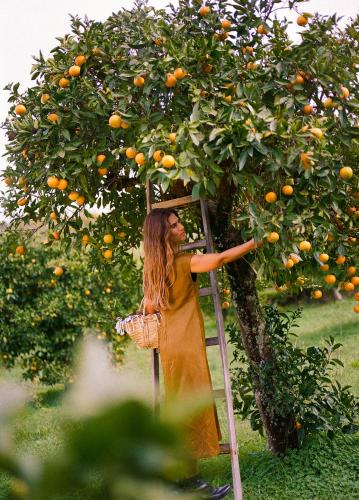 a woman standing on a ladder under an orange tree at Viceroy at Ombria Algarve in Loulé