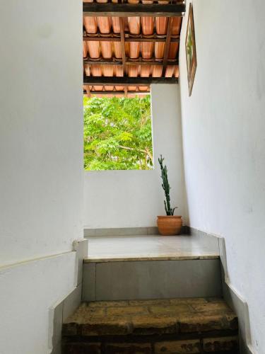 a staircase with a window and a potted plant at Casa Pau Brasil in Prado
