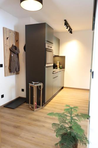 Η κουζίνα ή μικρή κουζίνα στο Apartmenthaus Sonnenhof