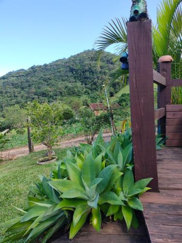a wooden deck with a bunch of plants at Sitio Vida in Aguas Mornas