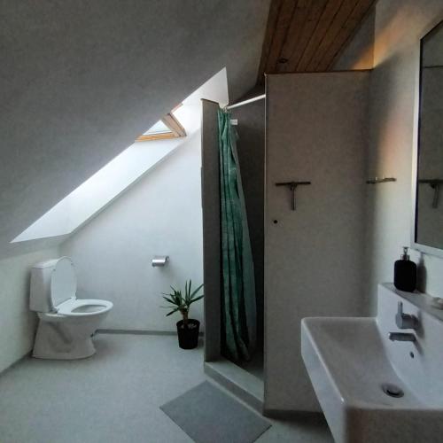 ein Badezimmer mit Toilette, Waschbecken und Fenster in der Unterkunft Hestegården in Fåborg