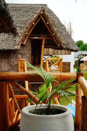 a plant in a pot in front of a house at Kirepwe Ecco Camp Watamu in Watamu