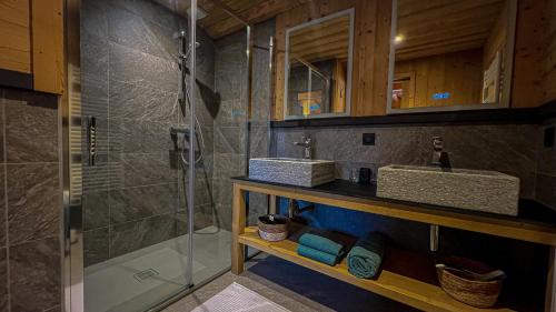 une salle de bain avec douche et lavabo dans l'établissement Chalet Loune, à Les Deux Alpes
