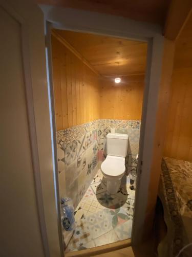 a bathroom with a white toilet in a room at Casa Vegana 4,5 Zimmer 8Pl, 3 Badezimmer in Trun