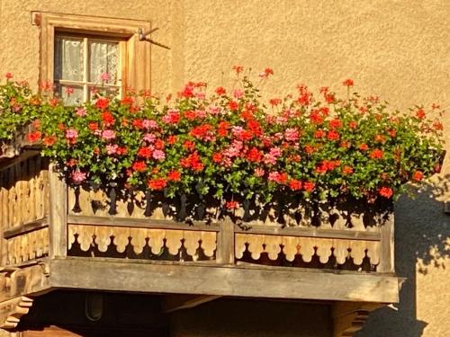a window box filled with flowers on a balcony at Casa Vegana 4,5 Zimmer 8Pl, 3 Badezimmer in Trun