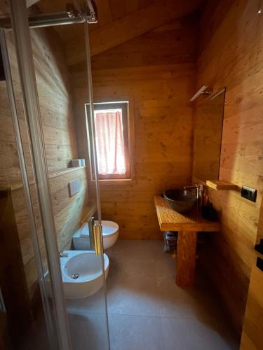a small bathroom with a toilet and a sink at Sabbionaccio Apartments & Spa in Chiesa in Valmalenco