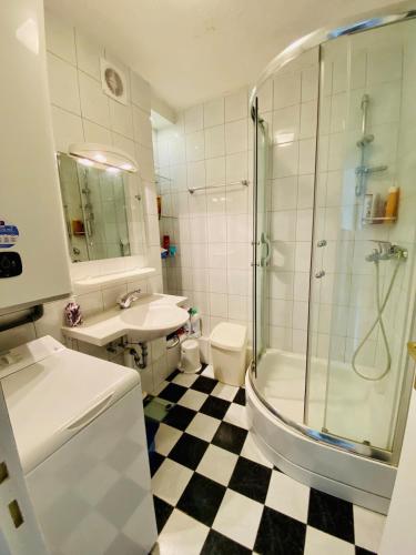une salle de bain avec une douche, un lavabo et des toilettes dans l'établissement T3 terrasse et piscine, au Barcarès
