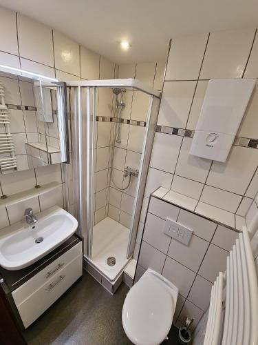 a bathroom with a toilet and a shower and a sink at Brockenblick in Altenau