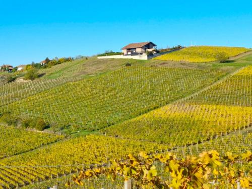 a vineyard with a house on top of a hill at Ca 'nsel Bric in Canelli