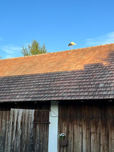 Nowosielce KozickieにあるŚpimy u Dziadków - APARTAMENTY BIESZCZADYのギャラリーの写真