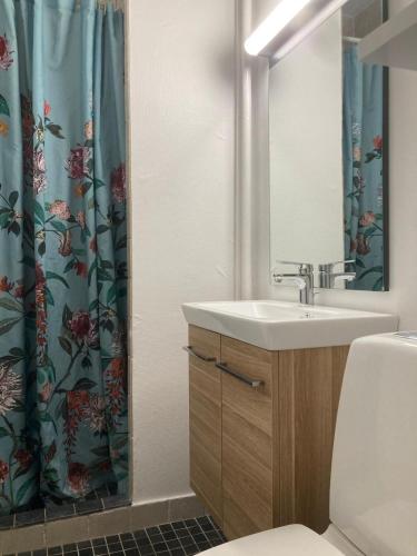 a bathroom with a sink and a shower curtain at Appartamento con 2 stanze da letto vicino la stazione Metro di Mozart Plads in Copenhagen