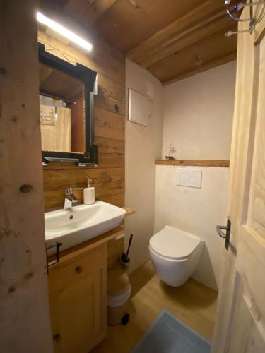 a bathroom with a white toilet and a sink at Casa Vegana 4,5 Zimmer 8Pl, 3 Badezimmer in Trun