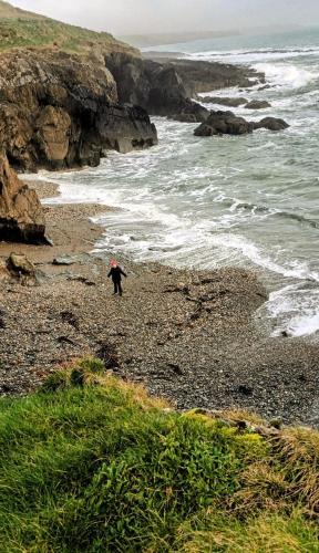 a person walking on a beach near the ocean at Melrose Bed and Breakfast in Clonakilty