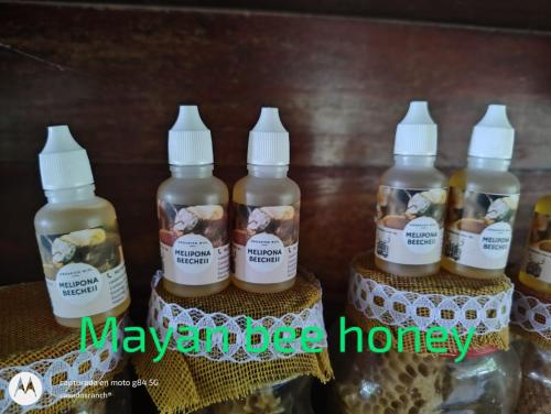 a group of bottles of honey on a table at CASADOS RANCH in Escárcega