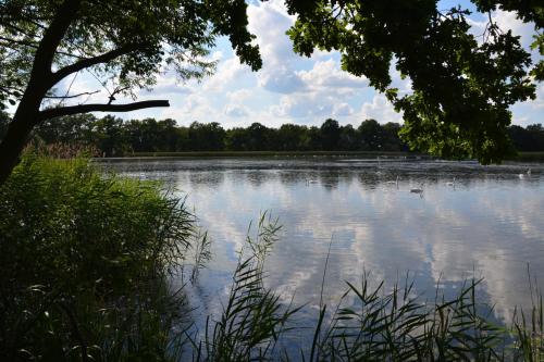 a large body of water with trees in the background at Ferienappartements "Landromantik" in Bautzen