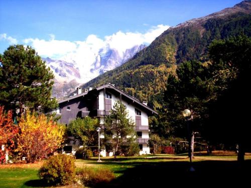 2 Pièces Vue Mont Blanc avec Balcon - Chamonix, Animaux acceptés - FR-1-517-19 photo 8