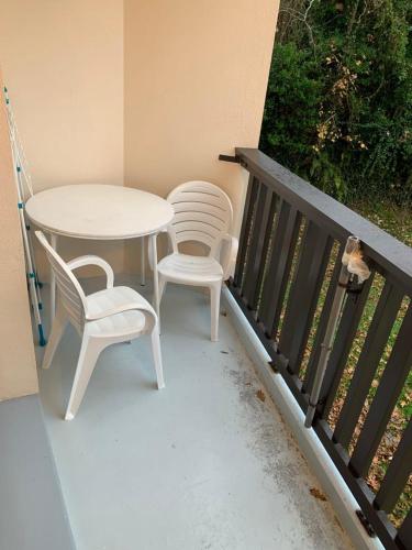 a table and two chairs and a cat sitting on a balcony at Très jolie studio à louer avec sa belle terrasse de 4m2 idéalement situé dans un hôtel thermale in Dax