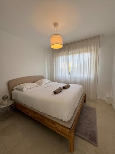 La Roseraie - Apt Standing 4 Prs - Piscine - Parking
