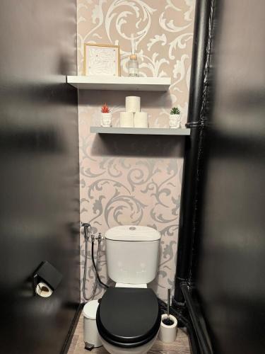 une salle de bain avec des toilettes avec une étagère au-dessus dans l'établissement Appartement Cosy, à Montceau-les-Mines