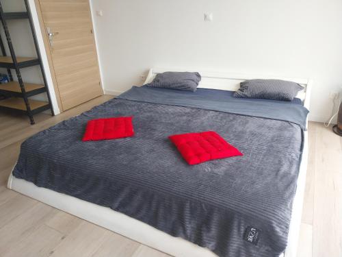 - un lit avec 2 oreillers rouges dans l'établissement Maison entière, à Guidel