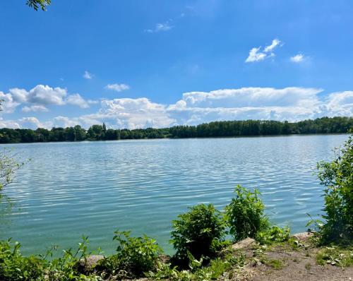 a view of a lake with trees in the background at Ferienwohnung Ostseefeuer in Eutin