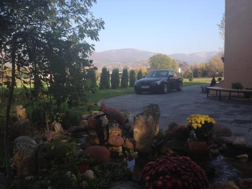 a car parked in a driveway with a bunch of flowers at Prenociste Gazela in Pirot