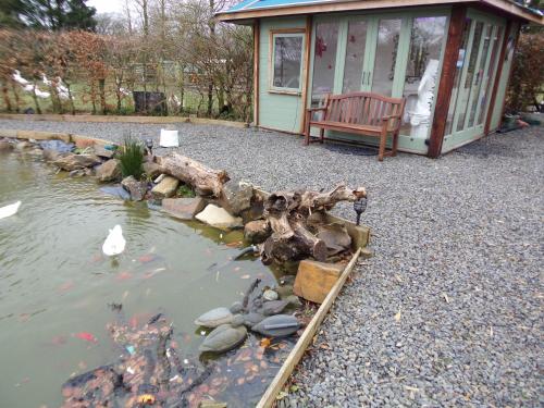 a pond in front of a house with a bench at Barton Gate Farm B&B in Bude